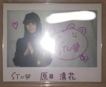 STU48의 7 하라다 세이카 친필 사인 폴라로이드