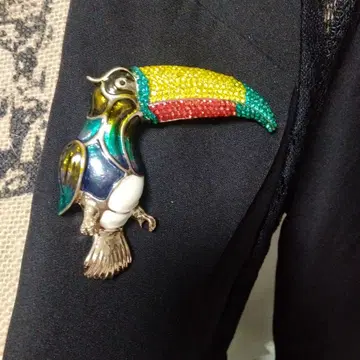 투칸 브로치 컬러풀 새 앵무새