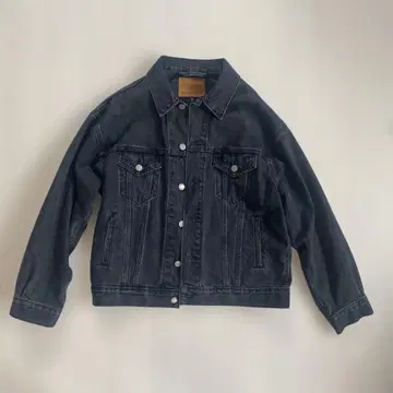 Aritzia 데님 포럼 데님 자켓
