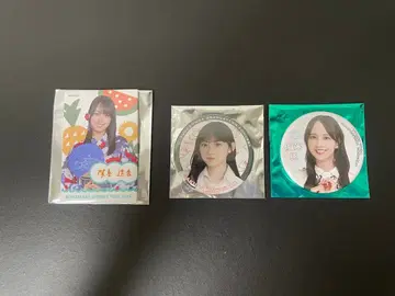 [ 노기자카 ] 캔뱃지
