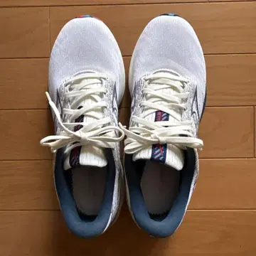 WAVE RIDER 26 / MIZUNO / 25.5cm 미즈노