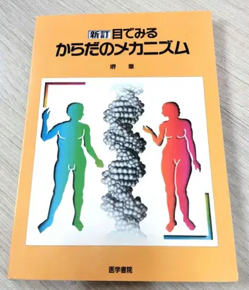 눈으로 보는 몸의 메커니즘