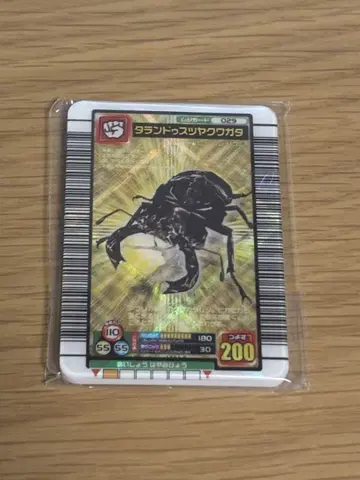 무시킹 타란두스츠야쿠와가타