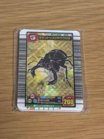 무시킹 타란두스츠야쿠와가타