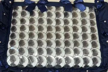 프로세카 아오야기 토야 토야 캔뱃지 그리캔 5A 페스티벌