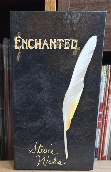 Stevie Nicks Enchanted