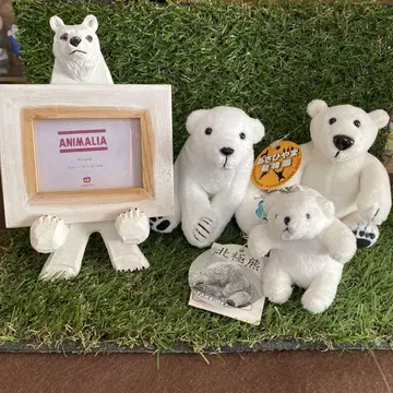 북극곰 봉제 인형 세트 삿포로 동물원