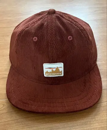 파타고니아 patagonia 코듀로이 캡