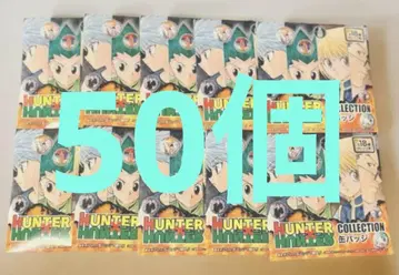 HUNTER x HUNTER 컬렉션 캔뱃지 30개