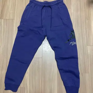 Jordan 스웨트 팬츠 M 사이즈 보라색