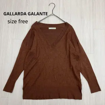 GALLARDA GALANTE V넥 니트 풀오버