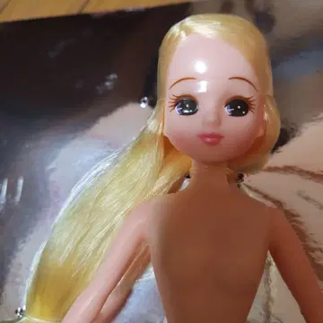 리카짱 인형 본체