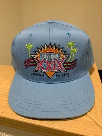 슈퍼볼 XXIX 캡