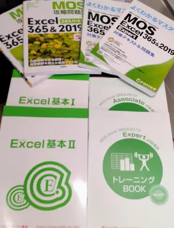 MOS Excel 365&2019 / Word 365&2019 텍스트