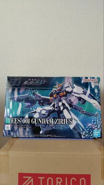 HG 1/144 건담 지리우스