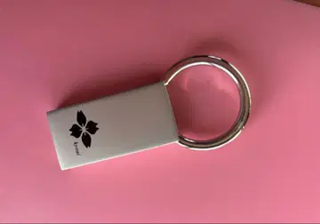 공애 실버 키링 한정판