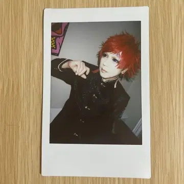 R 지정 Z 폴라로이드 오사카