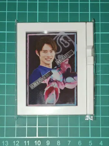 가면라이더 리바이스 이가라시 이츠키 프레임 마그넷