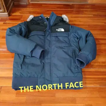 THE NORTH FACE 네이비 다운 자켓