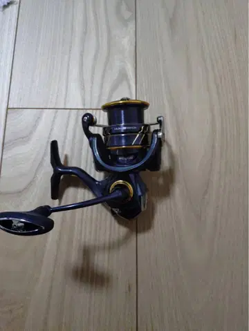 DAIWA 21CALDIA LT3000-CXH