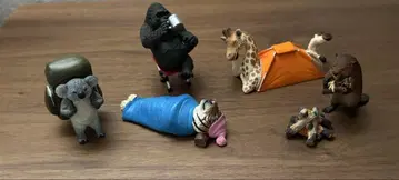 애니멀 캠핑 컴플리트