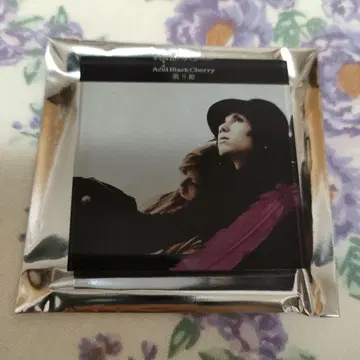 잠자는 숲속의 미녀 Acid Black Cherry 아크릴 마그넷