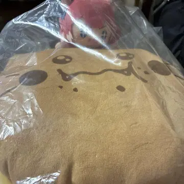 제일복권 아카미 카루비 A상