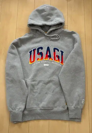 FR2 USAGI 프린트 그레이 후드티 USAGI Logo H XL