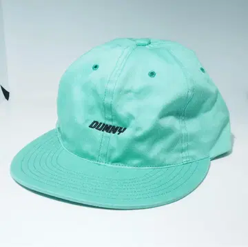 dummy logo cap (mint green)