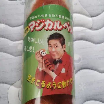 마법의 반려동물 봉제 인형 단종품 마기 신지