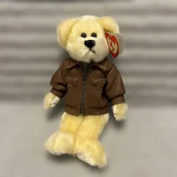 [ 레어 새상품 ] Ty 봉제 인형 자켓 포함