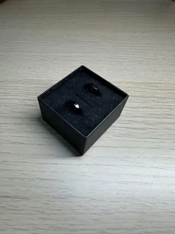 LIONHEART 블랙 귀걸이 (양쪽 귀)