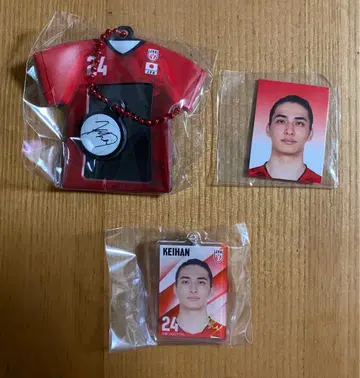 배구 일본 대표 타카하시 케이호 메지루시 참 유니폼 미니 사진 홀더