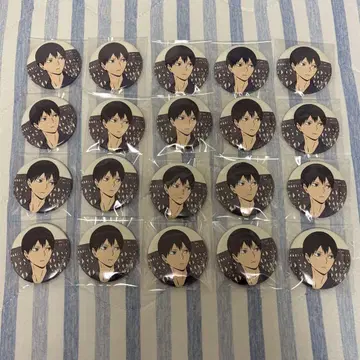 하이큐 여름의 진 캔뱃지 카게야마 토비오 20개 배구 사계절 풍경