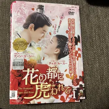 중국 드라마 DVD 꽃의 도시에 사로잡히다 전 15권 세트