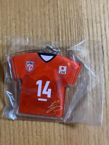 배구 일본 대표 이시카와 유키 메지루시 참 유니폼ver.