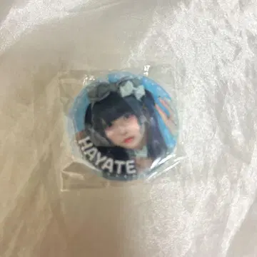 러브식 하야테 캔뱃지