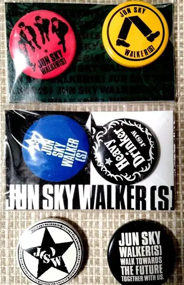 JUN SKY WALKER(S) 핀 배지 6개 세트