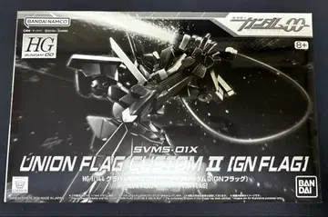 HG 1/144 플래그 커스텀 II GN 플래그