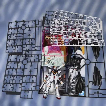 RG 크로스본 건담 X1 조립품