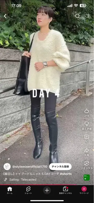 토이 푸들 니트