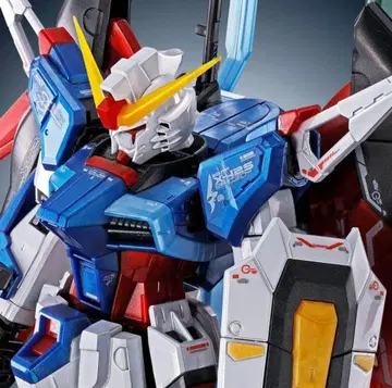 RG 1/144 데스티니 건담 [티타늄 피니쉬]