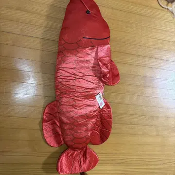 아로아나 봉제 인형