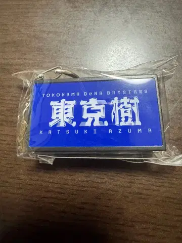 요코하마 DeNA 스타즈 히가시 카즈키