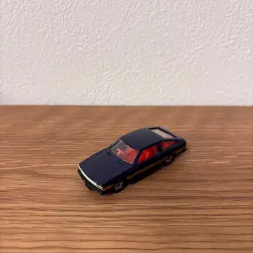 카 레빈 토미카