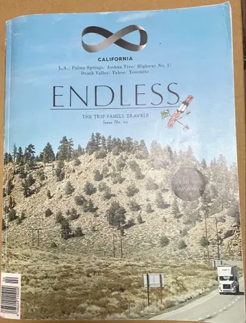 ENDLESS: THE TRIP FAMILY TRAVELS Issue 2
