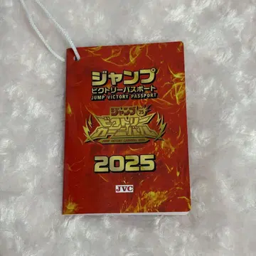 점프 빅토리 패스포트 2025 빅토리 카니발 점프 페스타