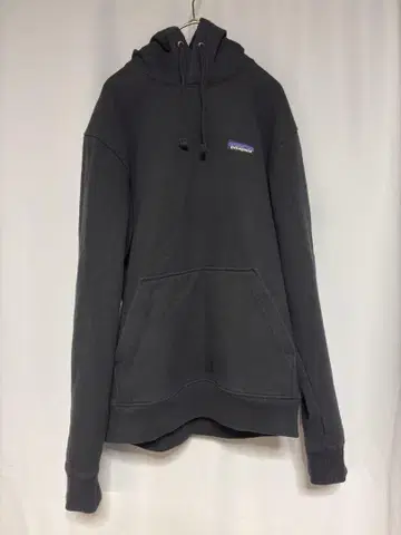 Patagonia 라벨 업라이저 후디 블랙
