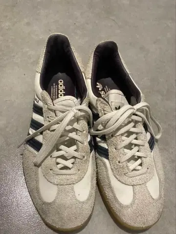 GAZELLE INDOOR HIKARI SHIBATA