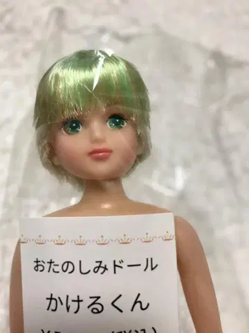 즐거운 인형 카케루군
